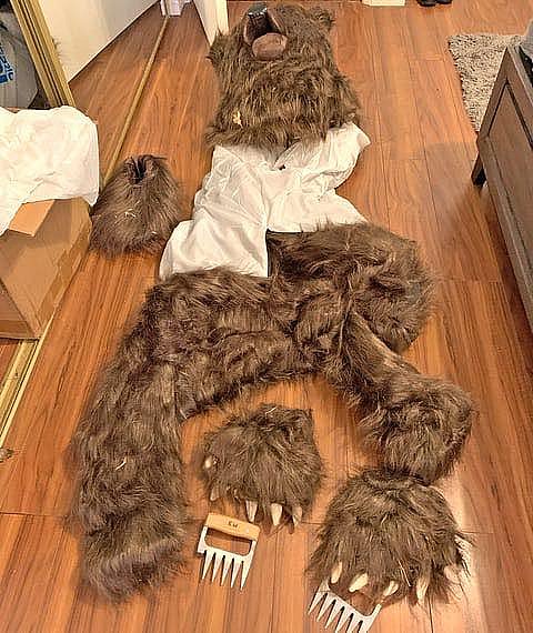 У США винесли вирок «банді ведмедів», які обманювали страхову компанію