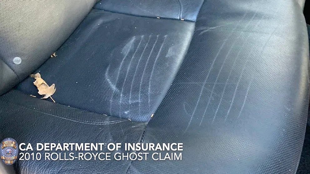 У США винесли вирок &laquo;банді ведмедів&raquo;, які обманювали страхову компанію