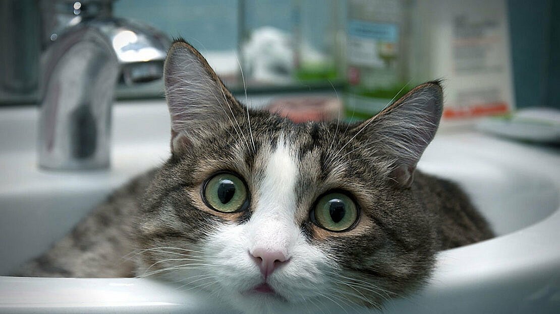 Много улиц в Николаеве остались без воды (адреса)