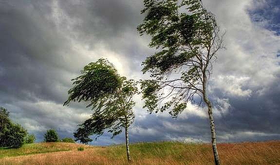 На Миколаївщині прогнозують погіршення погоди: посилиться вітер
