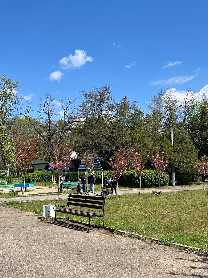 У парку Миколаєва встановили лавки – їх демонтували з Центрального проспекту