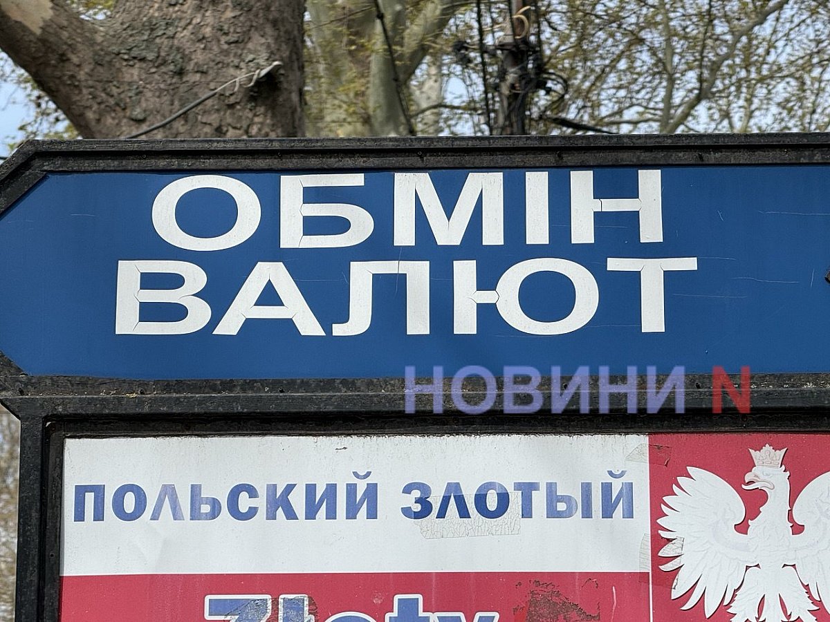 Доллар и евро в Николаеве: актуальные курсы валют