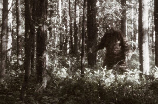 ФБР рассекретило материалы о поисках снежного человека