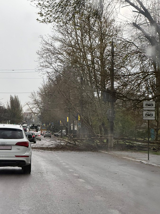 В Николаеве после непогоды восстановили поврежденную контактную сеть