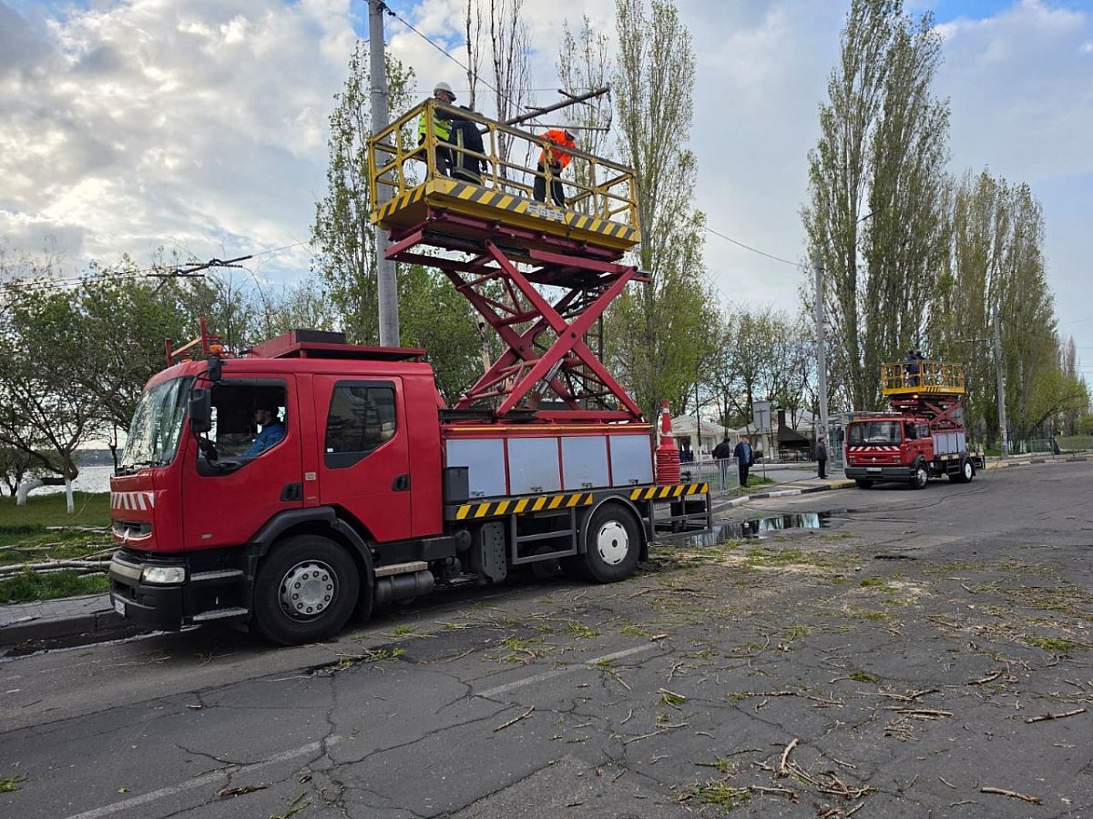 В Николаеве ветер валит деревья на контактную сеть: возможны перебои в движении электротранспорта