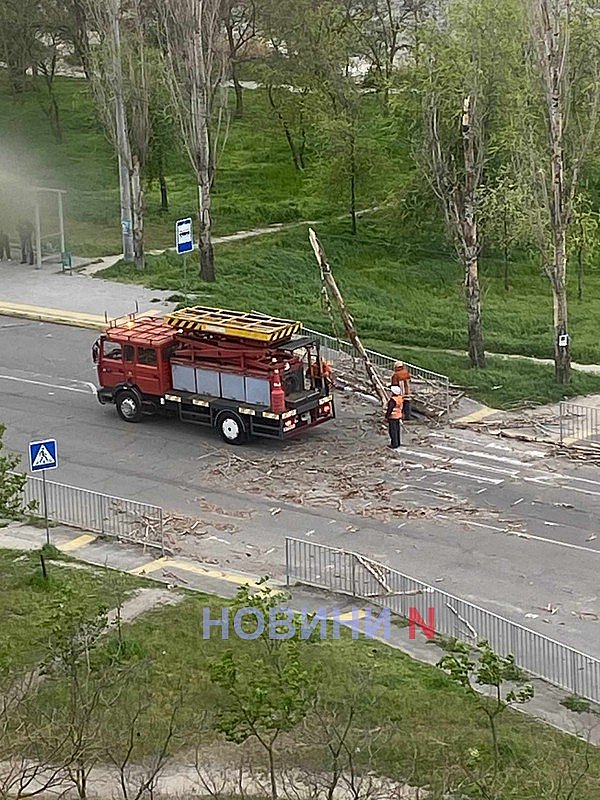 В Николаеве ветер валит деревья на контактную сеть: возможны перебои в движении электротранспорта