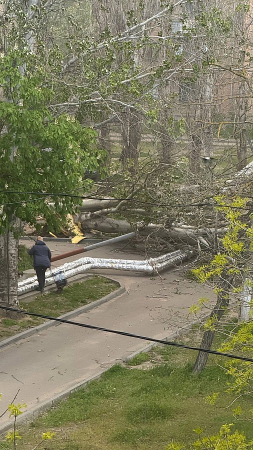 Буря дійшла до Миколаєва: городян закликають за можливості не виходити на вулицю (відео)