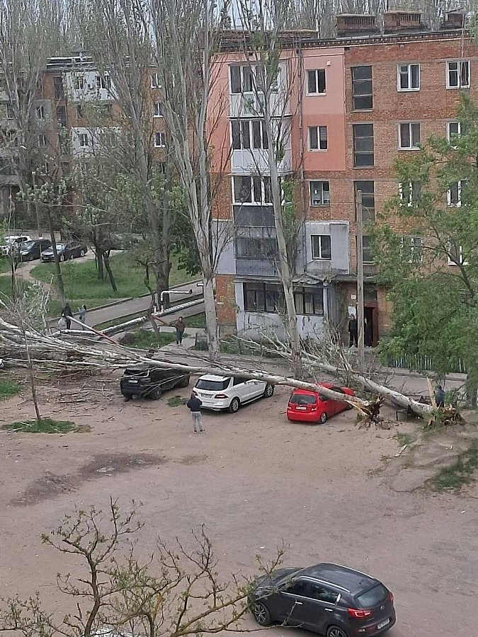 Буря дошла до Николаева: горожан призывают по возможности не выходить на улицу (видео)