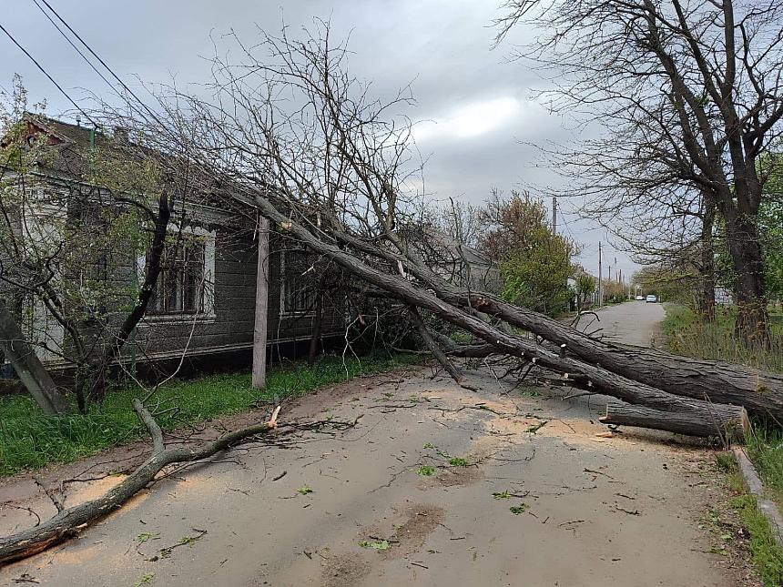 У Вознесенську шквальний вітер валить дерева на дороги та житлові будинки