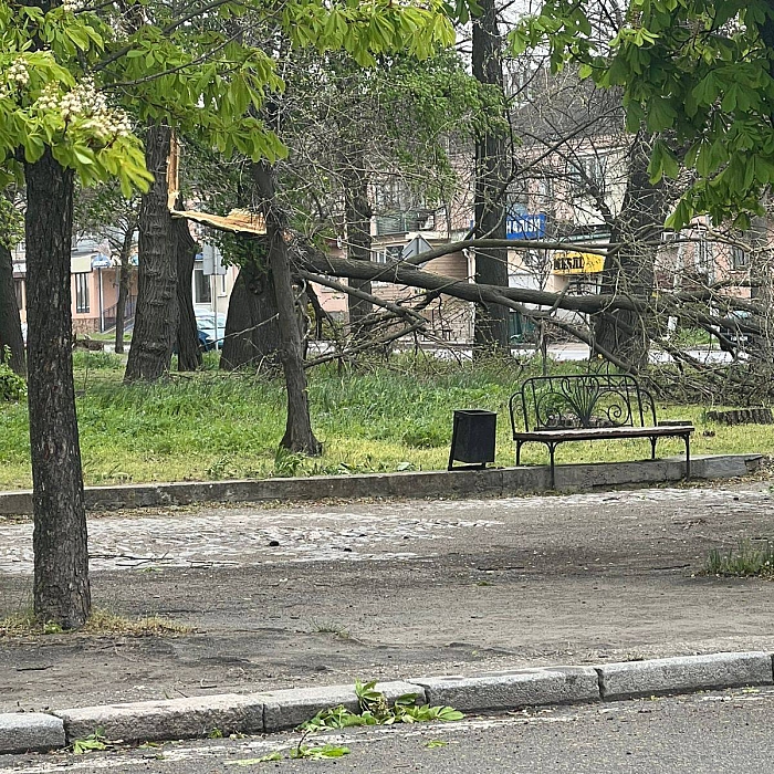 У Вознесенську шквальний вітер валить дерева на дороги та житлові будинки