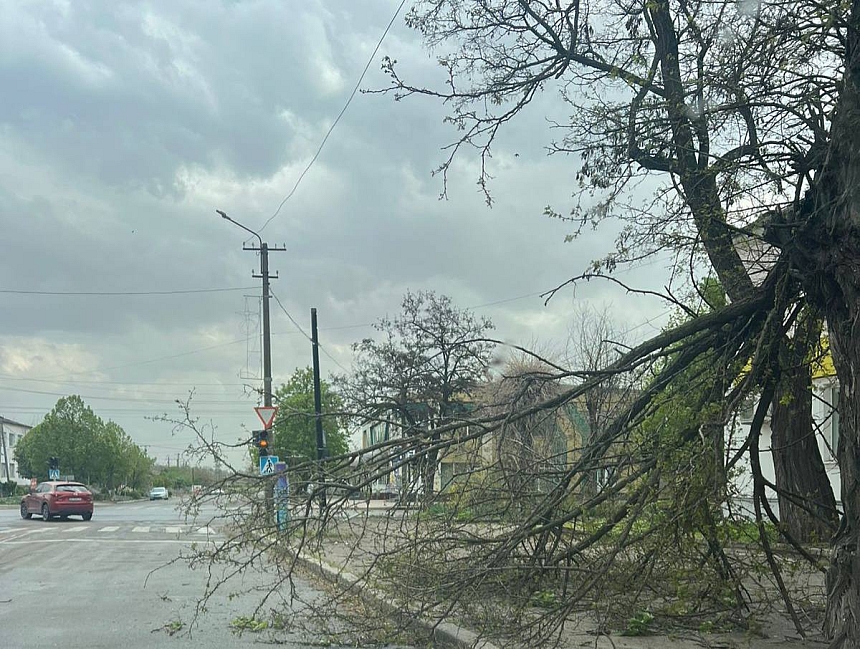 У Вознесенську шквальний вітер валить дерева на дороги та житлові будинки