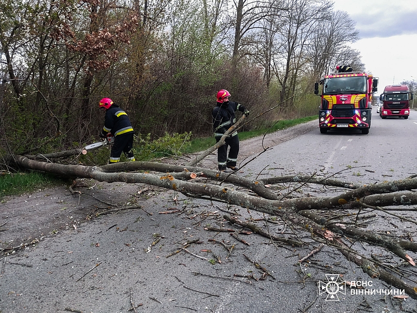 Из-за непогоды в Украине погибли два человека, среди травмированных есть дети, - ГСЧС