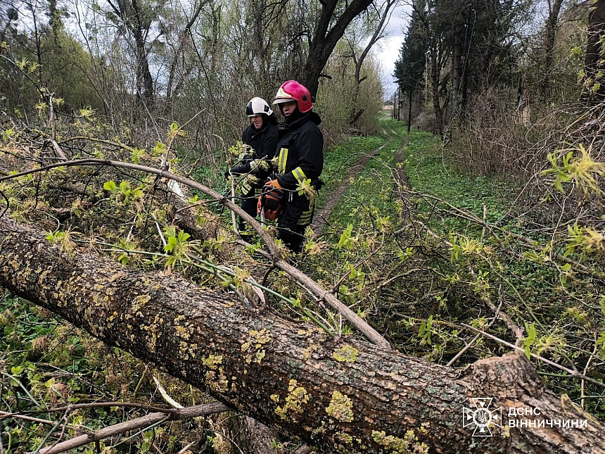 Из-за непогоды в Украине погибли два человека, среди травмированных есть дети, - ГСЧС