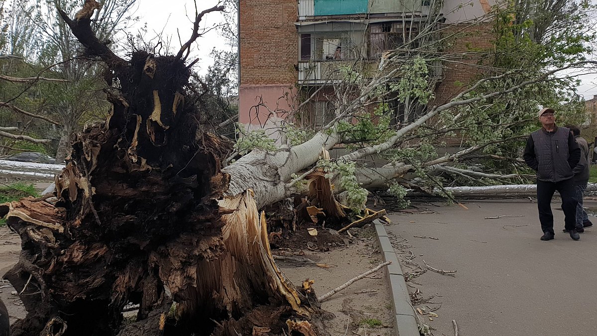 В Николаеве сильный ветер повалил теплотрассу (фото, видео)