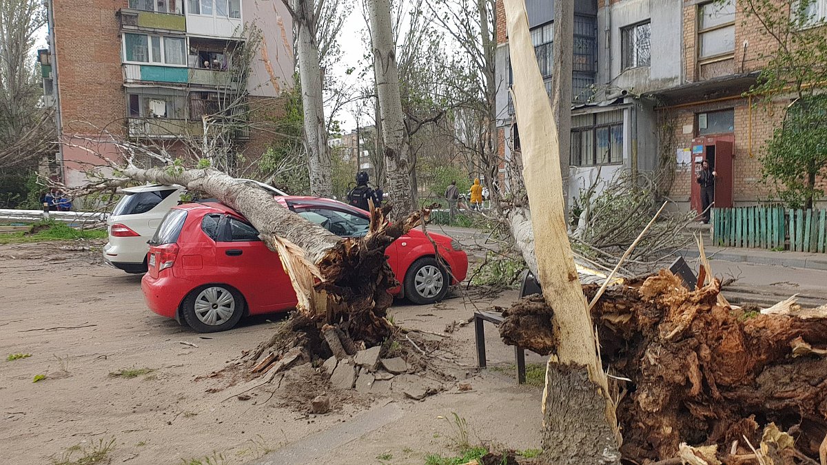 В Николаеве сильный ветер повалил теплотрассу (фото, видео)