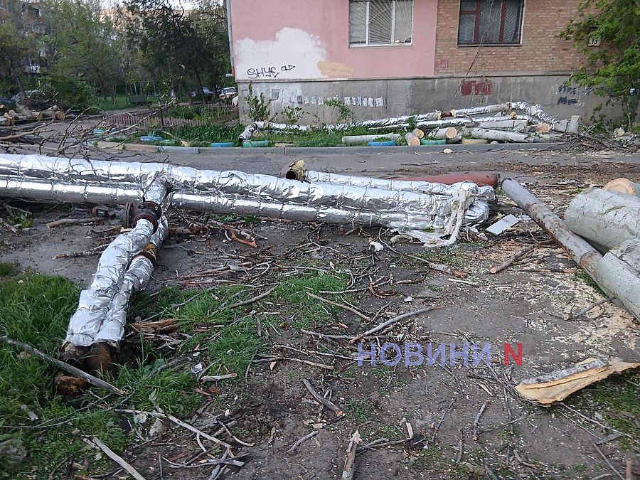 В Николаеве на одной улице ветер повалил сразу четыре дерева: повреждены машины, скамейки, балконы