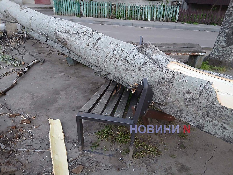 В Николаеве на одной улице ветер повалил сразу четыре дерева: повреждены машины, скамейки, балконы