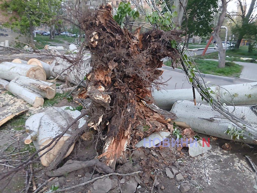 В Николаеве на одной улице ветер повалил сразу четыре дерева: повреждены машины, скамейки, балконы