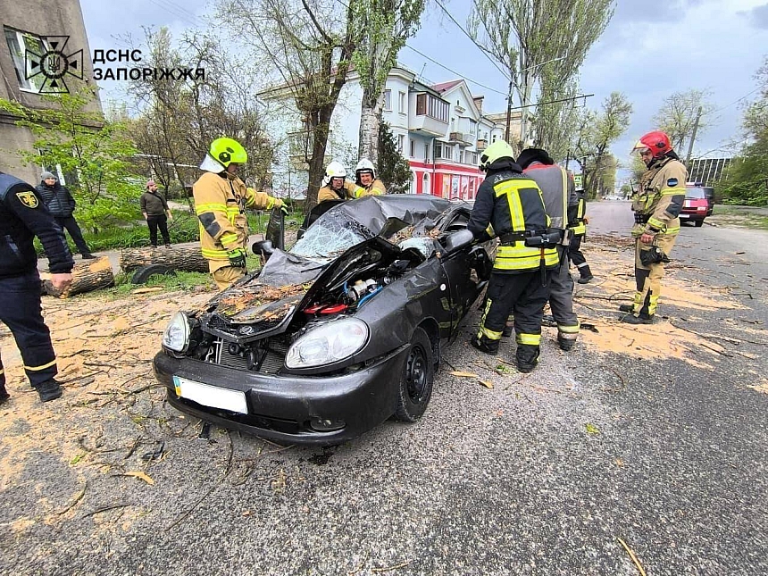 В Запорожье дерево упало на автомобиль: водитель погиб, тело доставали спасатели