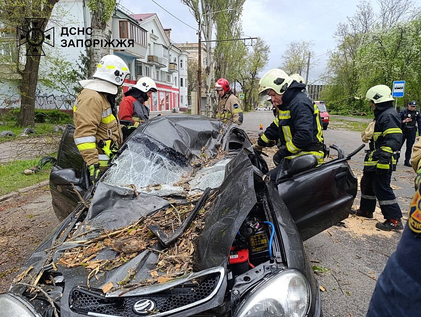 В Запорожье дерево упало на автомобиль: водитель погиб, тело доставали спасатели
