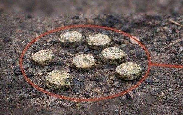 У Херсоні окупанти дистанційно замінували територію школи