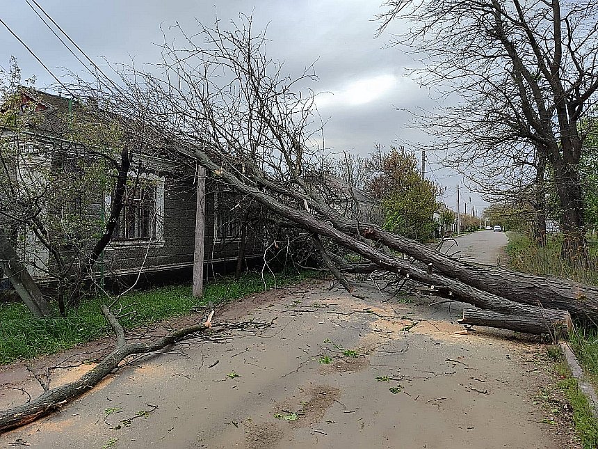 Недільна негода у Миколаєві та області: що відомо про наслідки (фоторепортаж)
