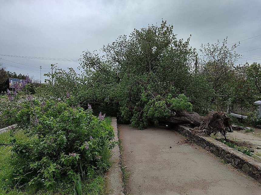 Недільна негода у Миколаєві та області: що відомо про наслідки (фоторепортаж)