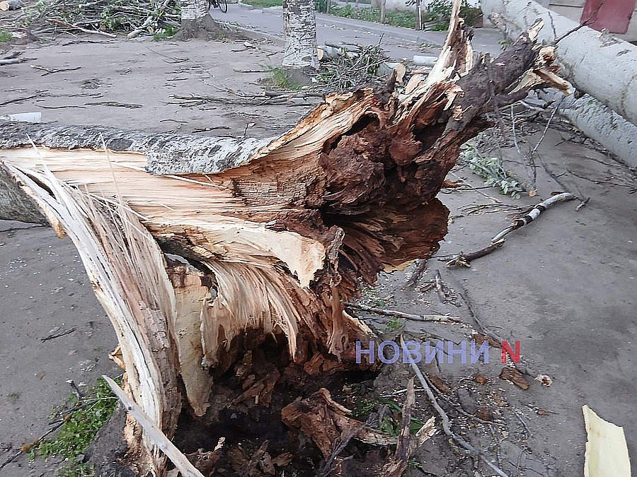 Недільна негода у Миколаєві та області: що відомо про наслідки (фоторепортаж)