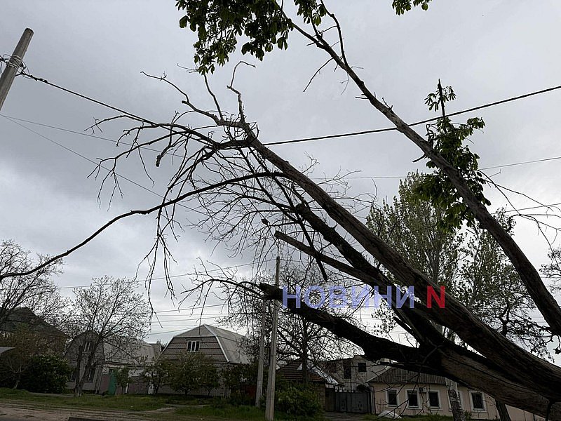 Непогода оставила без света более 700 населенных пунктов в Украине: среди них Николаевская область