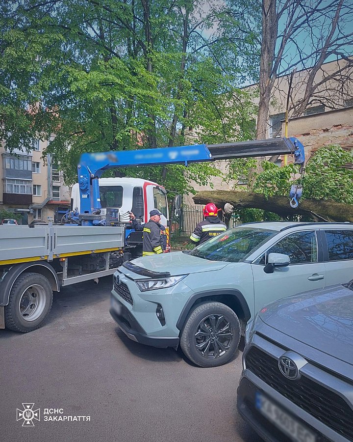 Увеличилось количество жертв в и пострадавших в следствие непогоды в Украине: фоторепортаж последствий