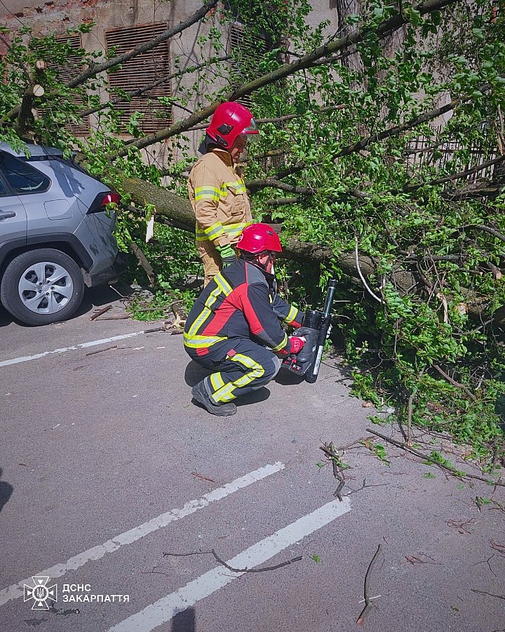Увеличилось количество жертв в и пострадавших в следствие непогоды в Украине: фоторепортаж последствий