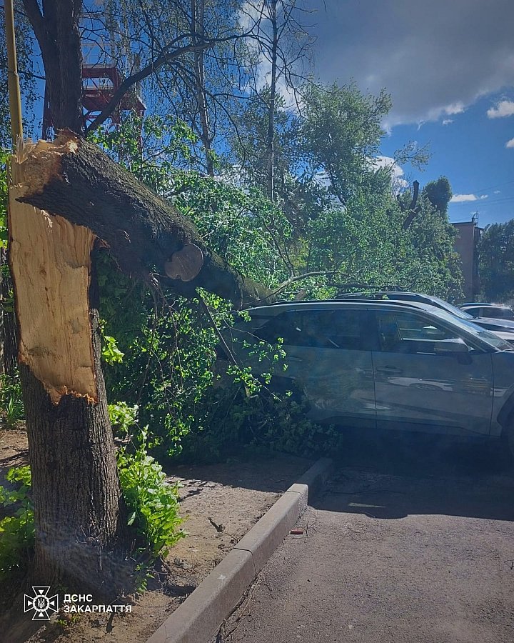 Увеличилось количество жертв в и пострадавших в следствие непогоды в Украине: фоторепортаж последствий