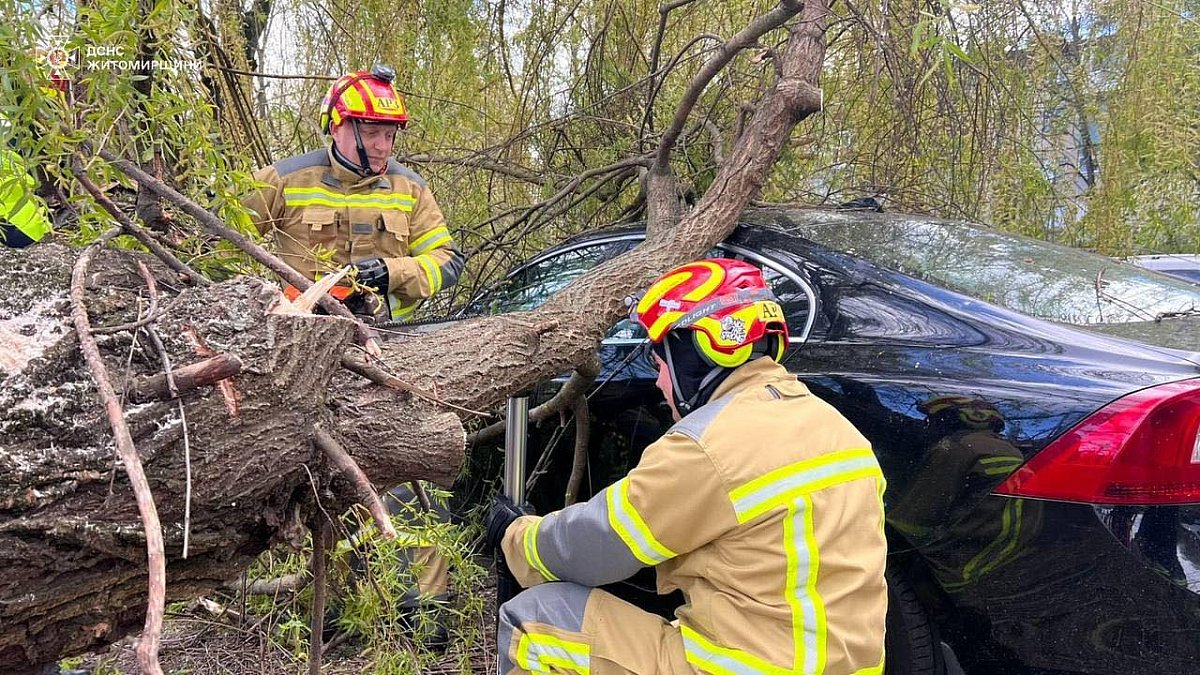 Увеличилось количество жертв в и пострадавших в следствие непогоды в Украине: фоторепортаж последствий