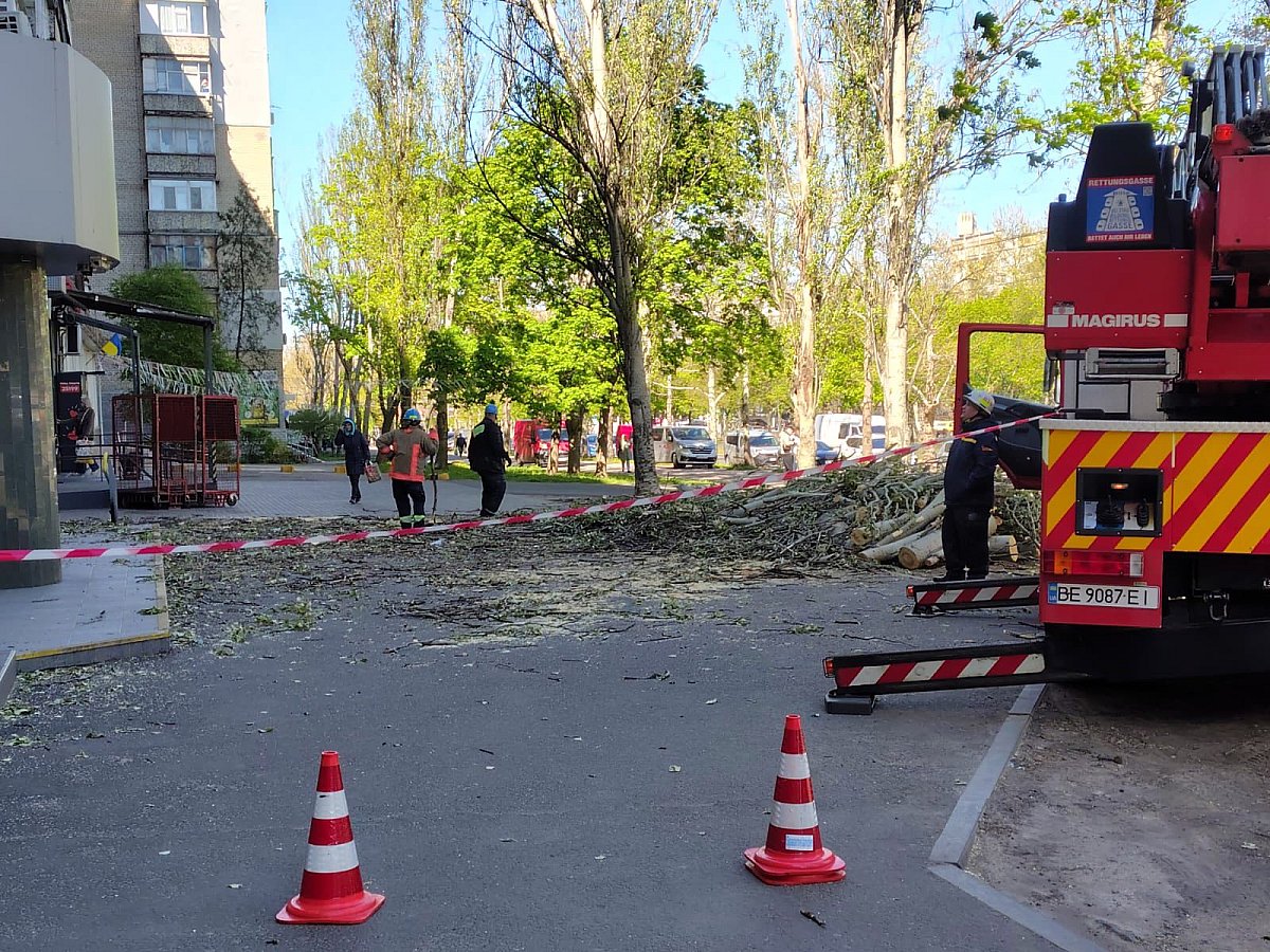 В Николаеве более 100 обращений из-за поваленных деревьев после непогоды