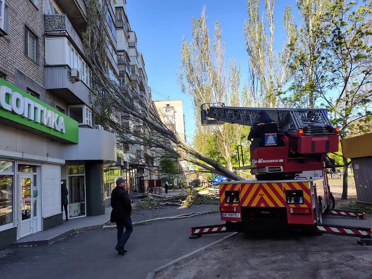 В Николаеве более 100 обращений из-за поваленных деревьев после непогоды
