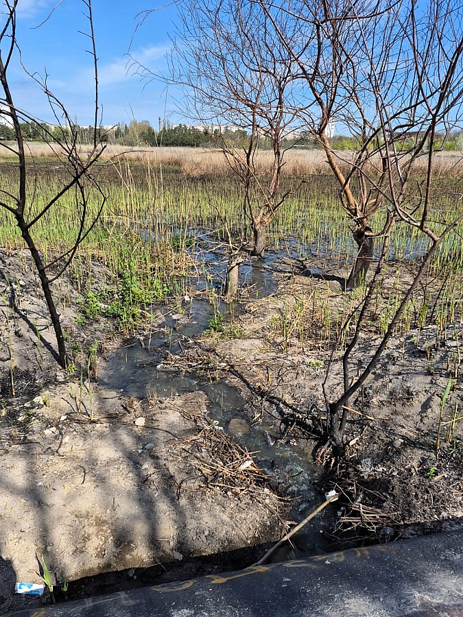 Теперь официально: в единственное озеро Николаева течет канализация, ищут владельца трубы