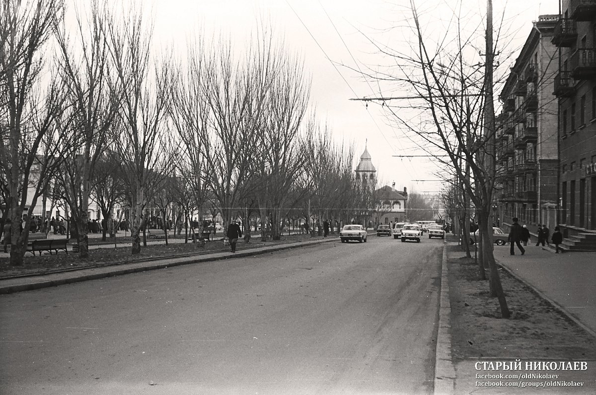 Как в Николаеве на проспекте росли молодые тополя (историческое фото)