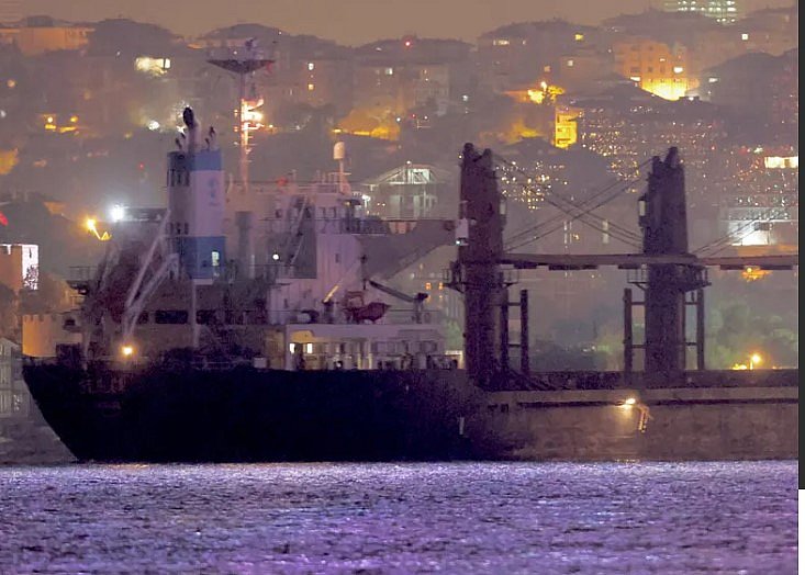 Україна викликала посла Ізраїлю через скандал із вкраденим зерном