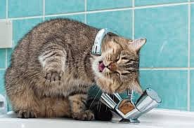 Часть Соляных в Николаеве осталась без воды (квадраты улиц)