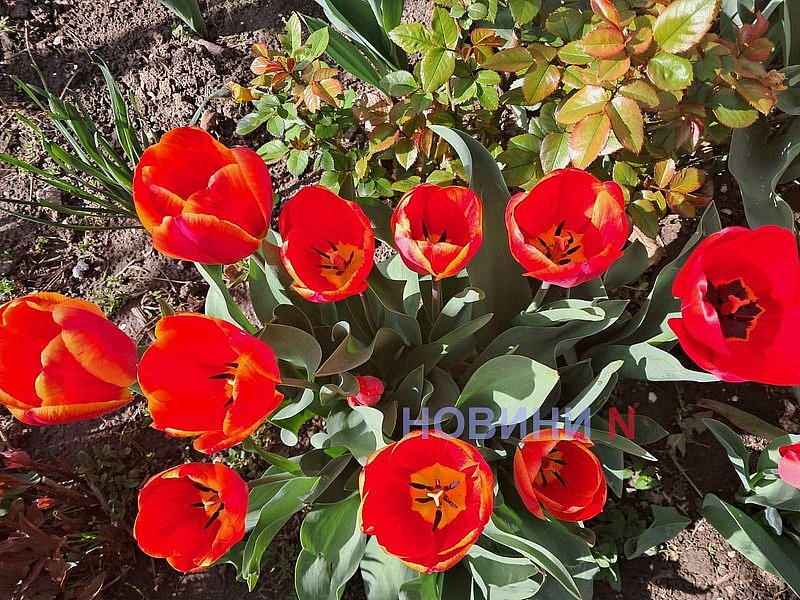 Какие праздники ждут украинцев в мае 2026 года