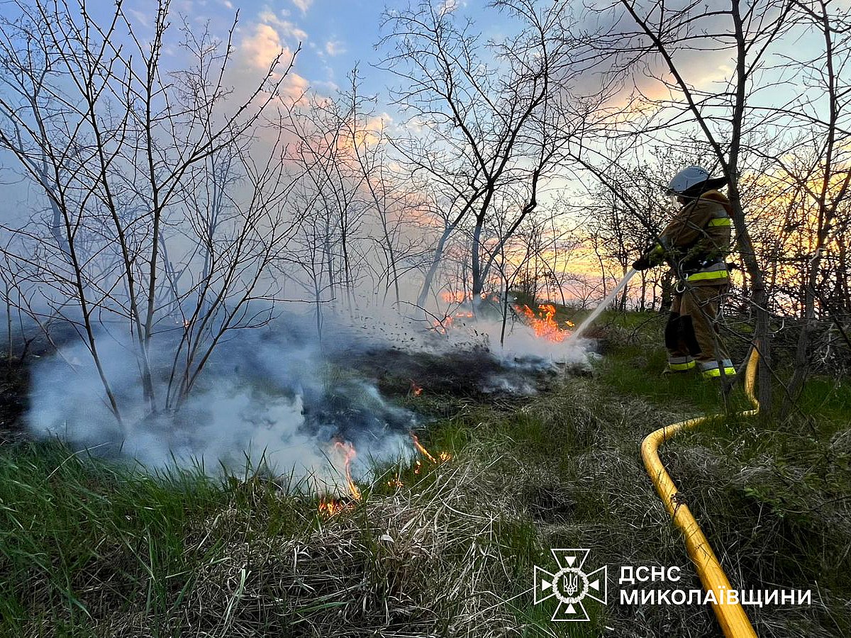 В Николаевской области за сутки горели дома, гараж и сухая трава