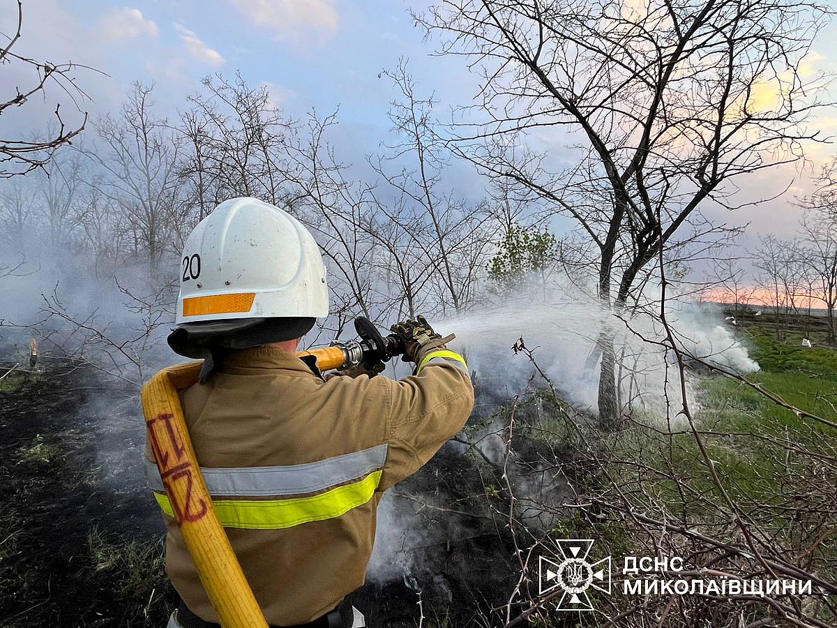 В Николаевской области за сутки горели дома, гараж и сухая трава