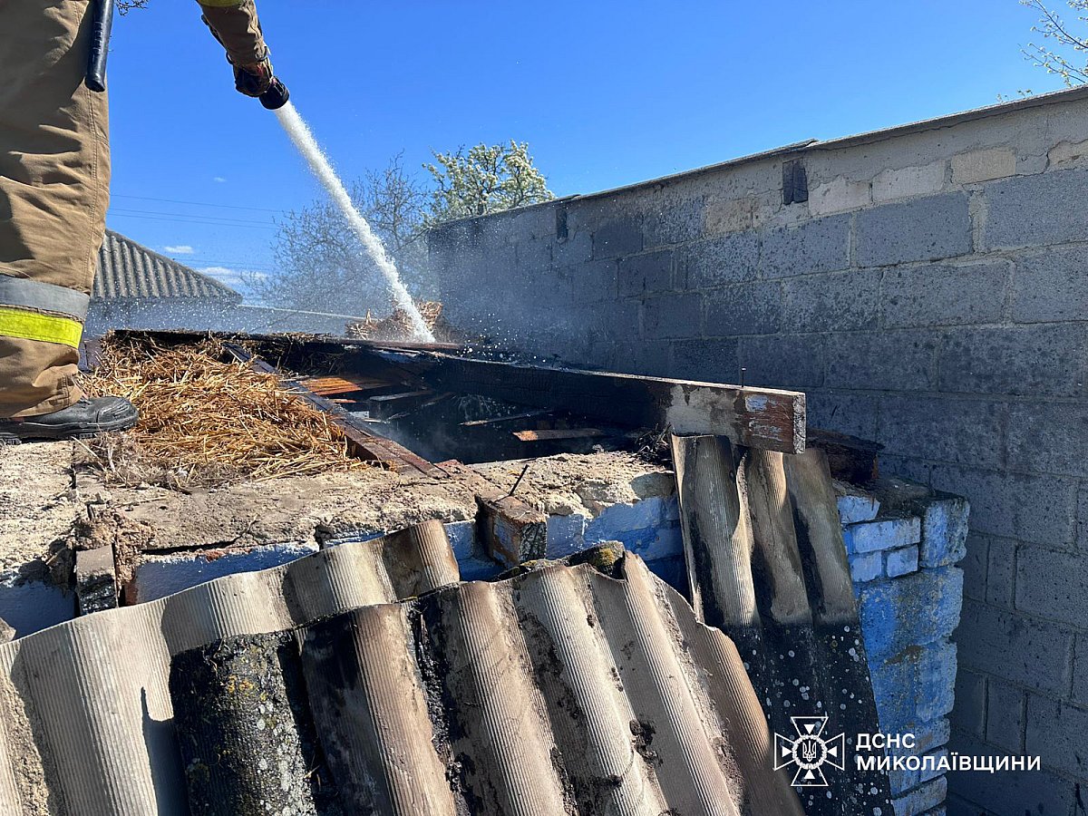 В Николаевской области за сутки горели дома, гараж и сухая трава