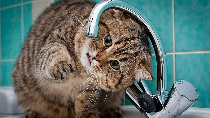 Часть Нового инвалидного хутора в Николаеве осталась без воды