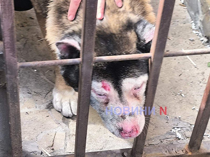 Появились новые фото последствий вражеской атаки в Николаеве. ОБНОВЛЕНО