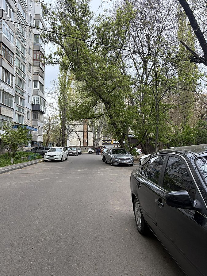 Після урагану у Миколаєві посилять обрізку дерев: у КП не вистачає спецтехніки