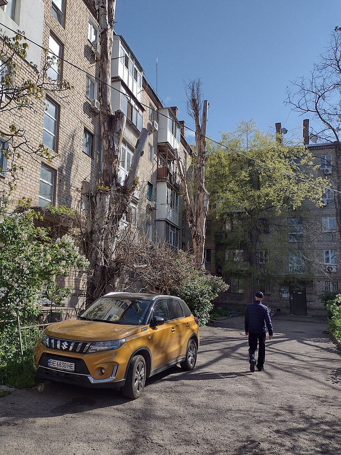 После урагана в Николаеве усилят обрезку деревьев: у КП не хватает спецтехники