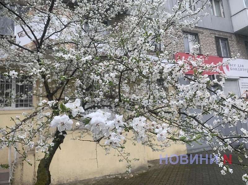 На Николаевщине апрель завершился холодной и сухой погодой: что происходит в аграрном секторе