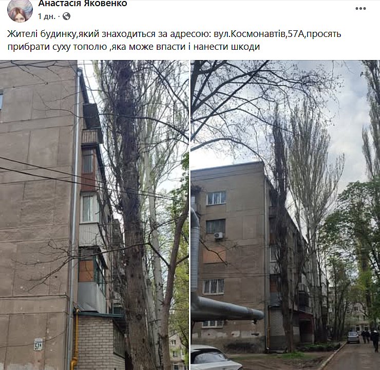 Николаевцы массово жалуются на сухие деревья: боятся непогоды и деревопада