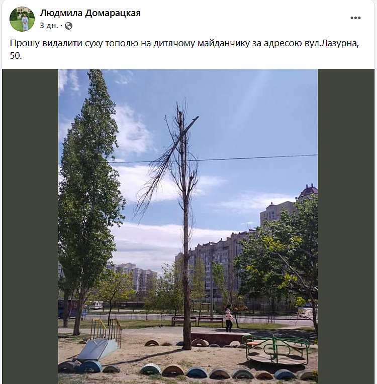 Николаевцы массово жалуются на сухие деревья: боятся непогоды и деревопада